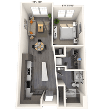 Traditional 1x1 674-875 SF 119 floor plan