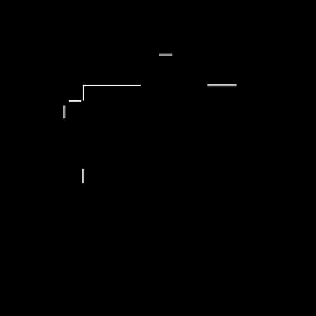 Unit 1902 floor plan