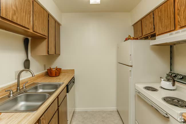 The Ash 210 floor plan