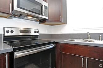1 Bd floor plan