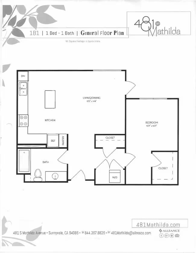 1 Bed • 1 Bath 255 floor plan