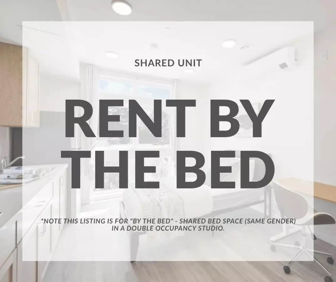 Studio B2 300 floor plan