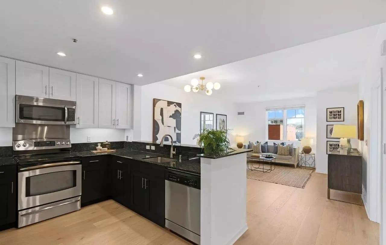 1 bd · 1 ba · 735 sqft floor plan