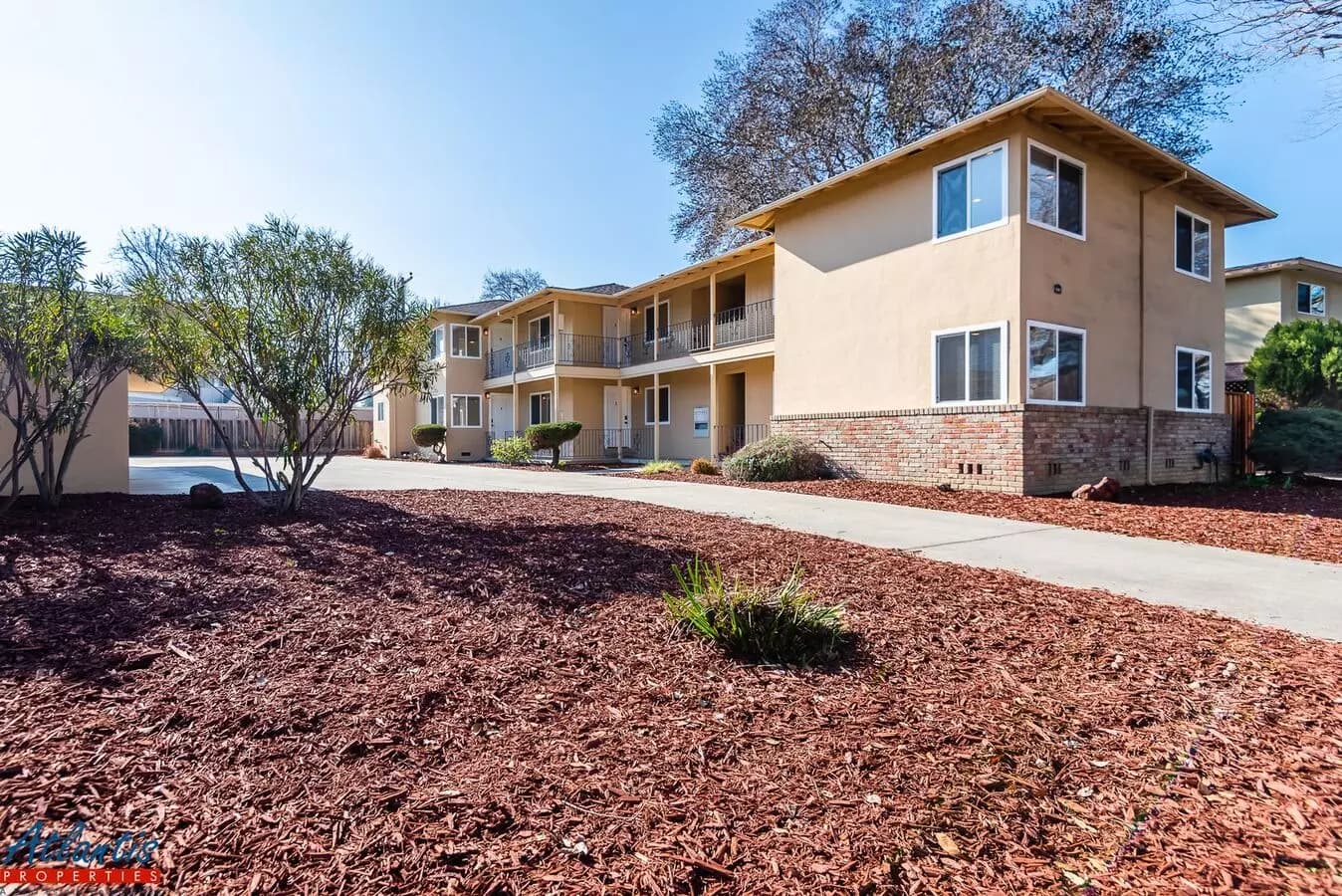 1 Bed, 1 Bath Model floor plan