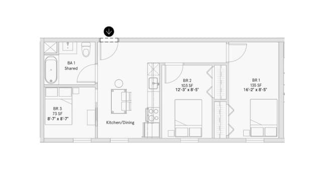 Unit 203 Room 3 in 3B1B (Shared Bathroom) floor plan