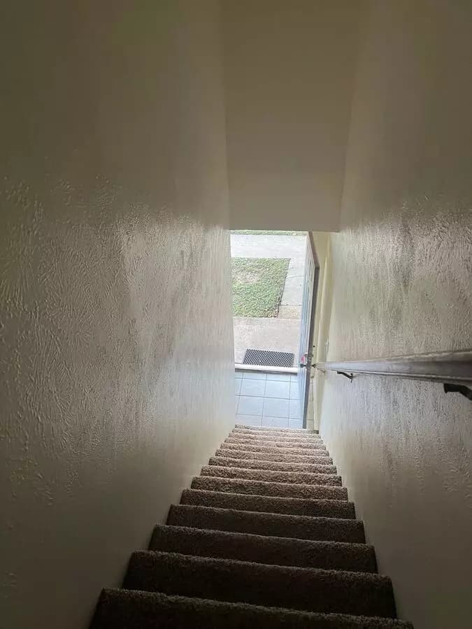 1 Bed 1 Bath floor plan