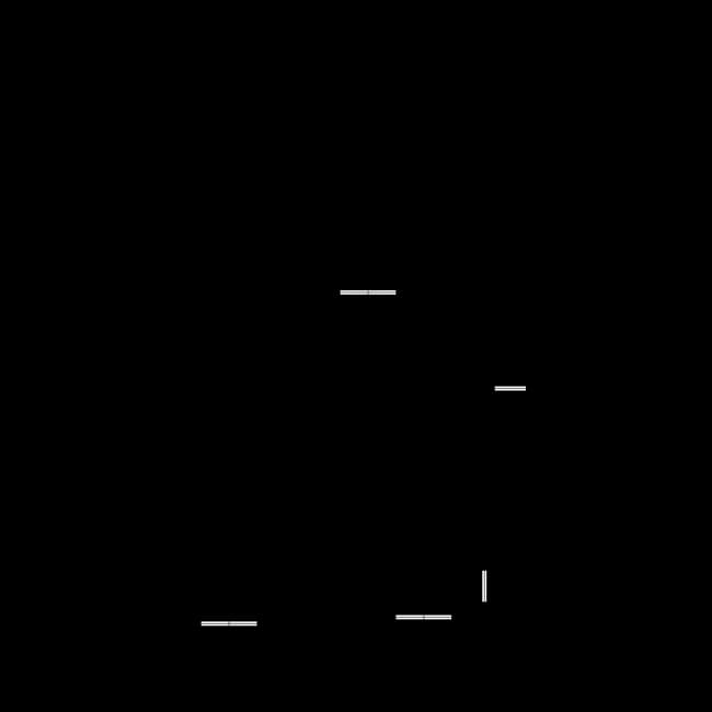 B1 Classic 301 floor plan