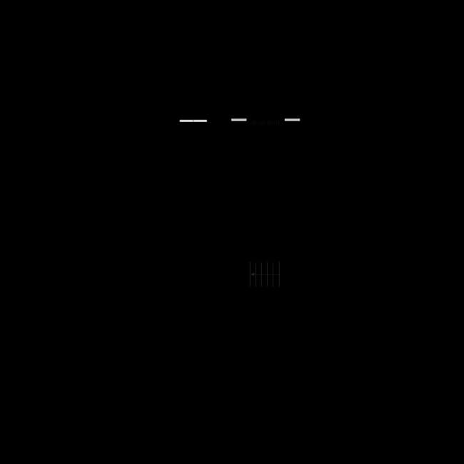 A1 Renovated 307 floor plan