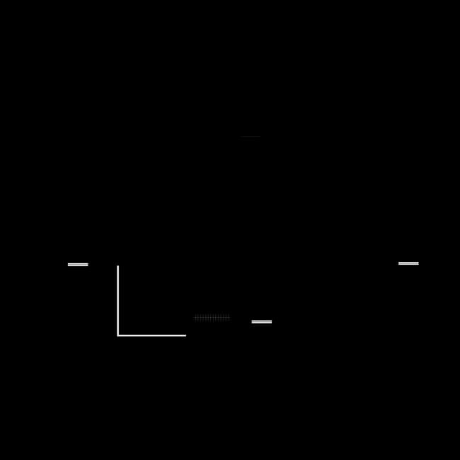 B1 Classic 2093 floor plan