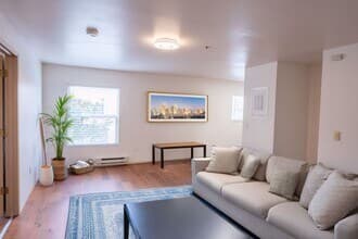 Beautiful Renovated Studio By the Bay! floor plan