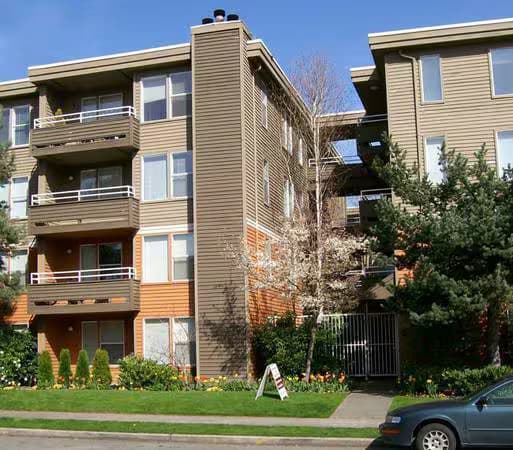 1 Bed 1 Bath 305 floor plan
