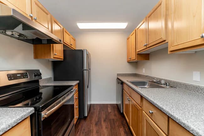 1 Bedroom Standard B103 floor plan