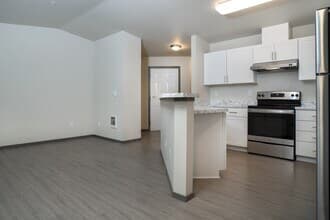 1 Bedroom Standard N203 floor plan