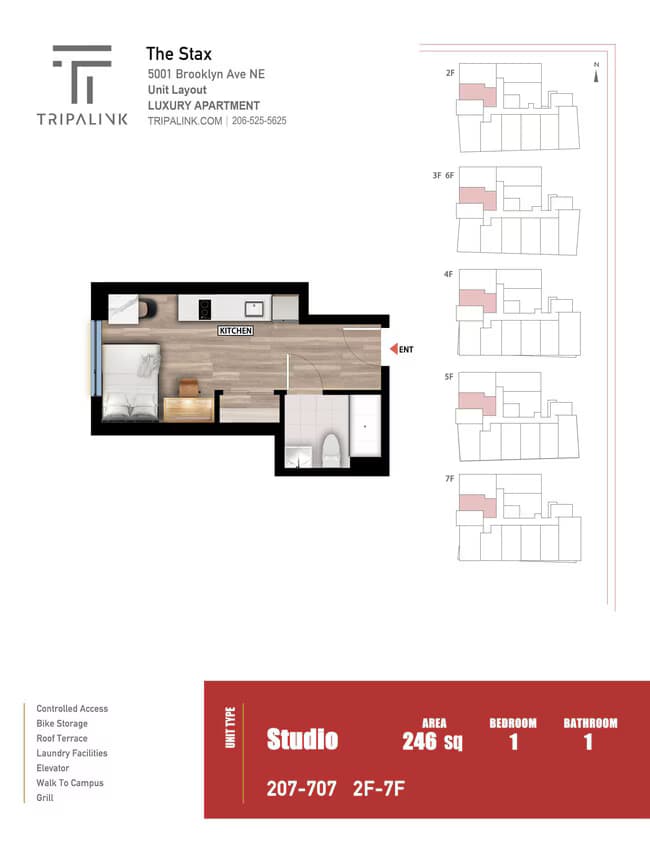 Studio - 246 sqft 207 floor plan