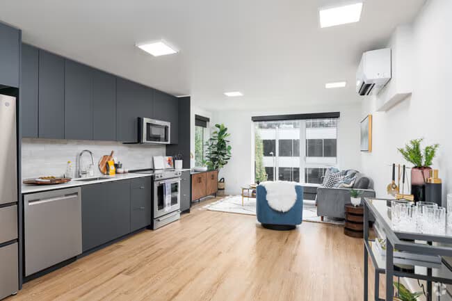 Open 1 Bed floor plan