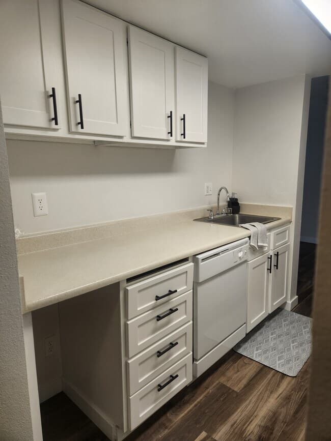 1x1 Aspen Reno with W/D 113 floor plan