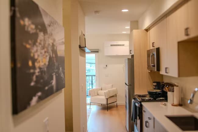 Open 1 Bedroom 305 floor plan