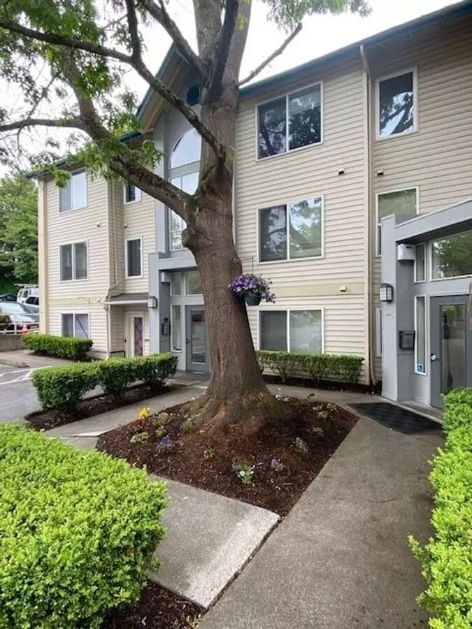 1BR/1.0BA 214 floor plan