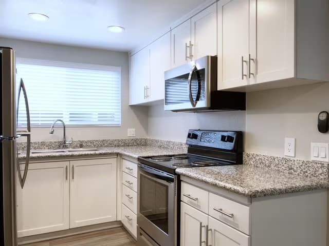 1 Bedroom 1 Bathroom floor plan